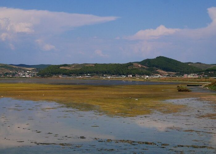 44727927682_358f001e23_c