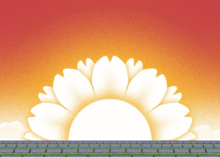 Agrivoltaic_v01-PV-Tech-Power-34-cover