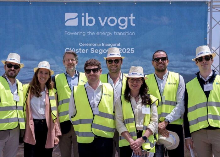 The Pato solar plant is part of a larger cluster of PV projects in Segovia