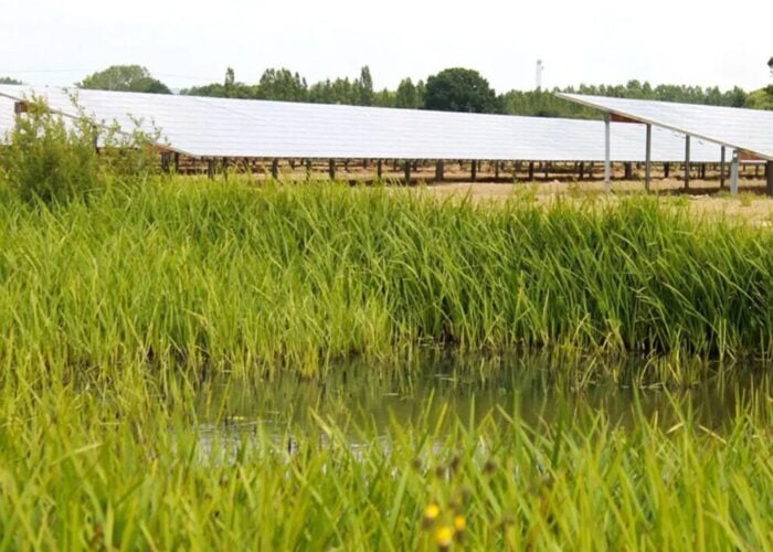 The Paddock Wood solar farm.