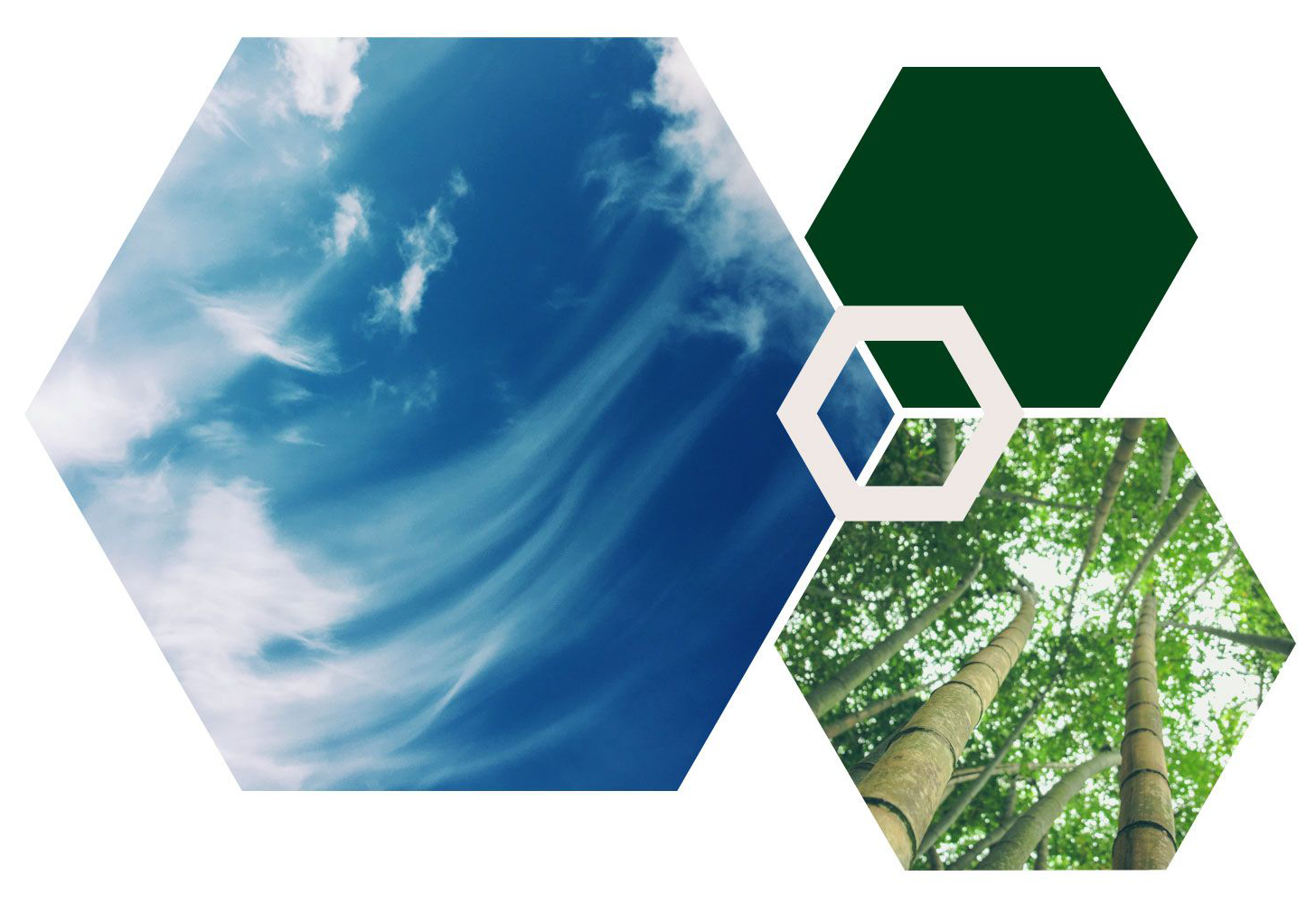 Hexagon